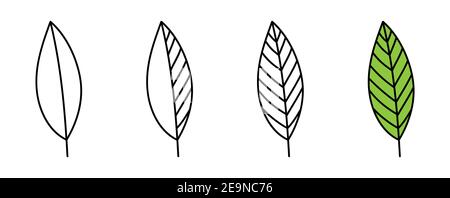 leaf line icons set. Vector illustration isolated on white background Stock Vector