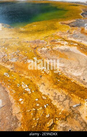 North America, Wyoming, Yellowstone National Park, Black Sand Basin, Emerald Pool. Green pool with yellow thermopile bacteria mat.
