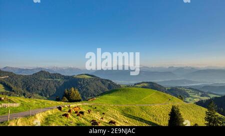 View of Alp Scheidegg and the mountains of Glarus. Picture taken in the Zurich Oberland Stock Photo