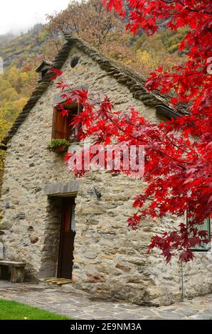 Old Stone house in autum next to beautiful tree Stock Photo