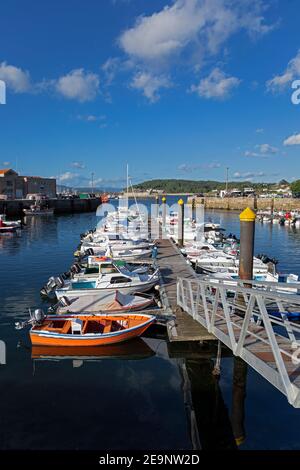 Europe, Spain, Galicia, Porto do Son, Harbour with moored fishing boats Stock Photo