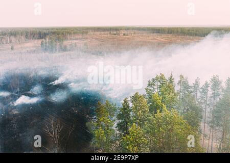 Aerial View. Spring Dry Grass Burns During Drought Hot Weather. Bush Fire And Smoke In Deforestation Zone. Wild Open Fire Destroys Grass. Nature In Stock Photo