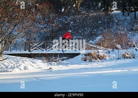 Man on a fat bike going over a snowy wood bridge, in an urban park in Ottawa WInter Stock Photo