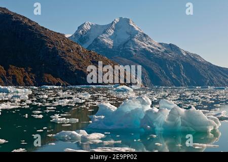 fjord filled with small iceberg's in South Greenland Stock Photo