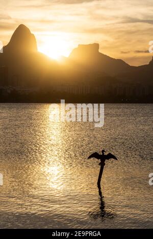 Beautiful sunset view to lagoon and bird with open wings on top of log, in Rio de Janeiro, Brazil Stock Photo