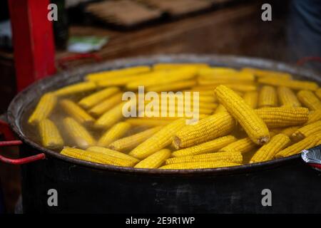 Yellow, sweet corn is cooked on the bone in a large aluminum iron cauldron. Summer camping food. Light snack. Stock Photo