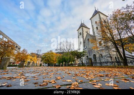 In front of St.Mary's Church in autumn In the foreground there were many dry leaves on the rocky road, on a blue sky day. In Bergen, Norway Stock Photo