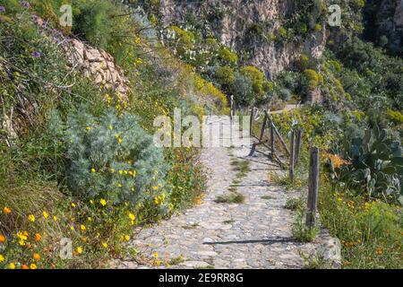 Taormina - The path among the spring mediterranean flowers. Stock Photo