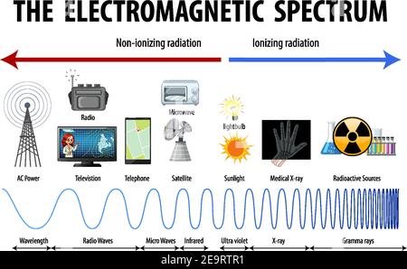 Science Electromagnetic Spectrum diagram illustration Stock Vector