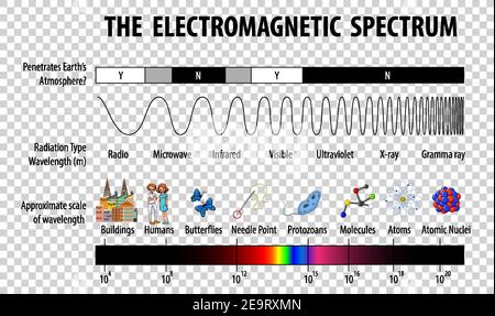 Science Electromagnetic Spectrum Diagram On Transparent Background ...