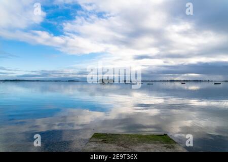 Brittany, the Ile-aux-Moines, island in the Morbihan gulf, gooses on the sea in winter Stock Photo