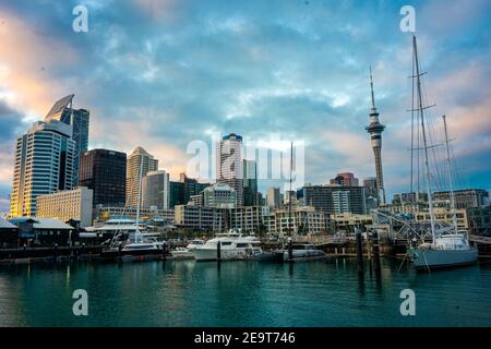 Boats at Wynyard Quarter, Viaduct Basin, Auckland CBD, New Zealand Stock Photo