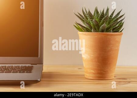 Laptop on a wooden table with a cactus plant. Home office concept. Stock Photo