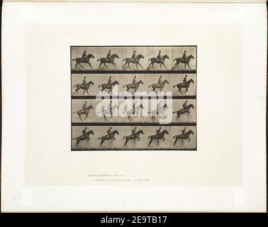 Muybridge horse jumping 1. Stock Photo