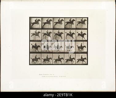 Muybridge horse jumping 2. Stock Photo