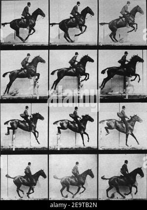 Muybridge horse jumping. Stock Photo