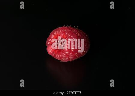 Ripe raspberry isolated on black background. Raspberry macro photography.  Raspberry photo part of my fruit photography collection. Stock Photo