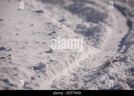 Selective focus photo. Snow covered ground. Stock Photo