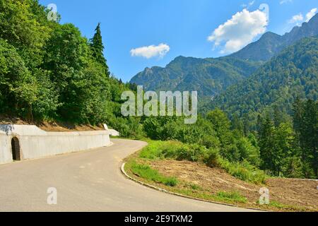 The summer landscape near the Sella Cereschiatis mountain pass in Udine Province, Friuli-Venezia Giulia, north east Italy Stock Photo
