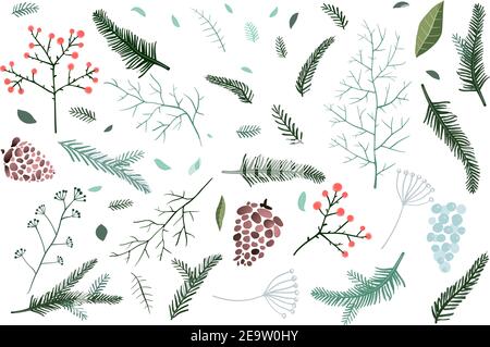 Christmas Fir tree and pine branches objects collection with cones and winter florals. Stock Vector