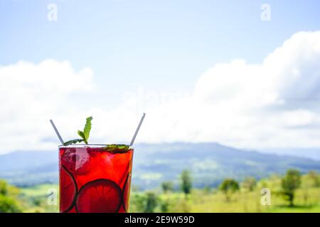 Red fruit cocktail glass decorated with lemon and mint on a wooden table with a forest in the background Stock Photo