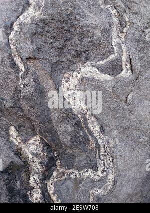 Image of a stone texture. Texture for the background. Natural background for your design. Stock Photo