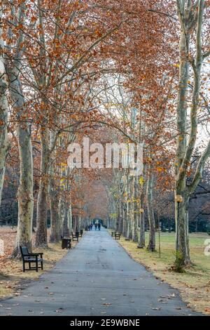 Park surrounding Vrana palace in Sofia, Bulgaria Stock Photo