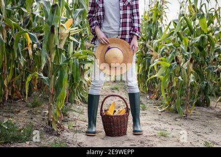 Farmer in corn field. Woman with straw hat and rubber boots standing over wicker basket with harvested corn cobs. Farming and agriculture concept Stock Photo