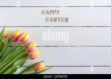 Easter greeting card template with Happy Easter text and tulips on white wooden background, minimal composition, flat lay, view from above, copy space Stock Photo