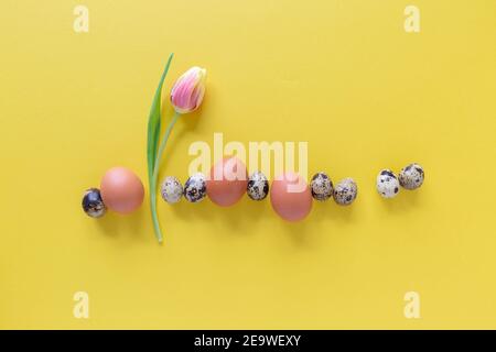 Easter greeting card template with eggs and tulip flower on yellow background , flat lay, view from above, copy space Stock Photo