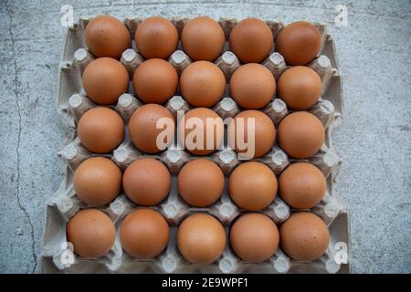 Eggs group, Chicken eggs in carton box Stock Photo