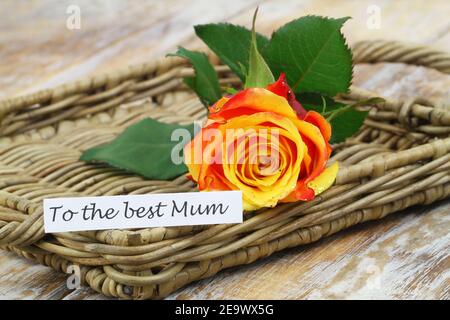 To the best Mum card with one colorful rose on wicker tray Stock Photo