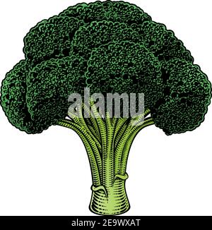 Broccoli Vegetable Vintage Woodcut Illustration Stock Vector