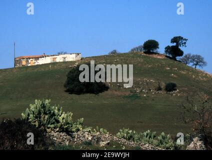 Sardinia countryside near Sassari, Italy (scanned from colorslide) Stock Photo