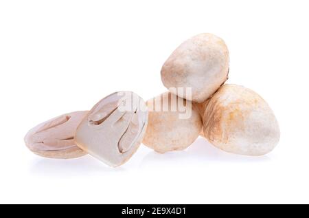 Straw mushrooms isolated on white background Stock Photo - Alamy