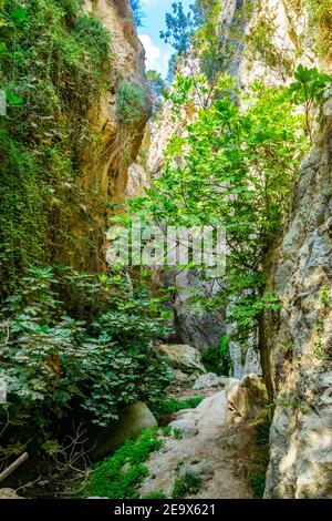 view on the Avakas Gorge with steep rocks and river on bottom. Akamas ...