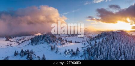 Rolling Clouds At Dense Spruce Coniferous Forest On Snowy White Hill Slope In Winter During Sunset. - Aerial Drone Shot. A forest Densely Covered With Stock Photo