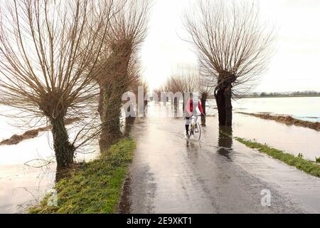 February 2021 - Cyclist riding through the flooding on the Moors at Godney near Glastonbury in Somerset, England, UK Stock Photo