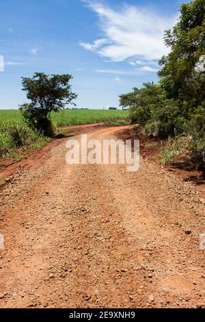 Typical dirt road found in the interior of the State of Sao Paulo. The location is close to the Sao Lourenco river Stock Photo