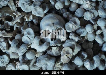 set of bones with skull Stock Photo