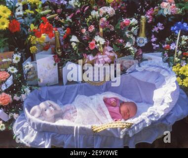 Newborn baby in wicker basket with cards and flowers, Highgate, Greater London, United Kingdom Stock Photo
