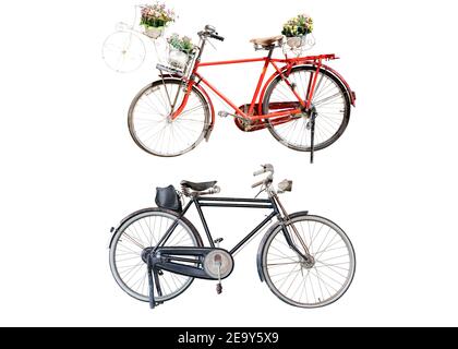 Old retro red bicycle with flowers bouquet in basket and Bicycle black classic vintage style isolated on white background with clipping path. Stock Photo