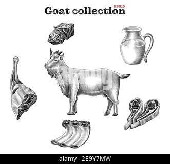 Goat collection hand draw vintage engraving style clip art isolated on white background Stock Vector