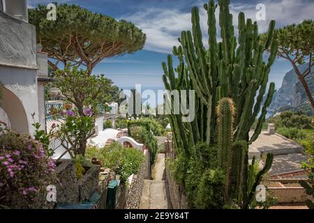 Scenic path in Capri decorated with cacti, trees and flowers. Narrow footpath with mediterranean plants and a fantastic view of the sea, Italy Stock Photo