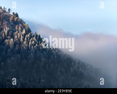fog between trees in wintery mountains Stock Photo