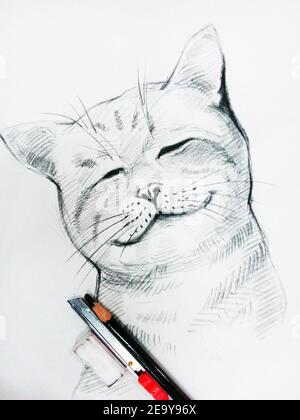 Original Graphite Pencil Drawing for Cat Lovers. Drawing of a Cat for  Interior Decoration or to Offer. - Etsy