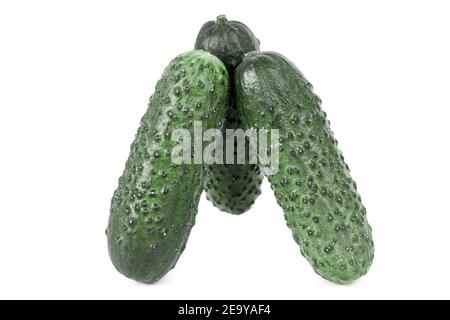 three green fresh cucumbers isolated on white background. Stock Photo