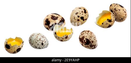 Falling quail eggs isolated on white background Stock Photo