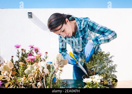 Latin gardener woman taking care of plants and flowers, Home gardening in Mexico city Stock Photo