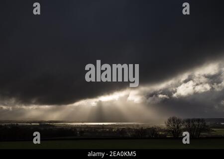 Dramatic evening light falls over Ham Wall RSPB reserve, part of Avalon marshes wetlands nature reserve. Somerset, UK Stock Photo